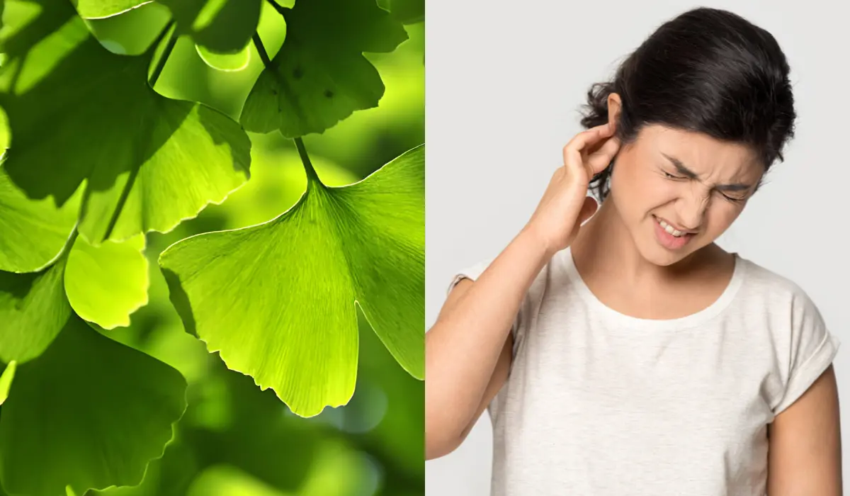 Ginkgo Biloba And Hearing