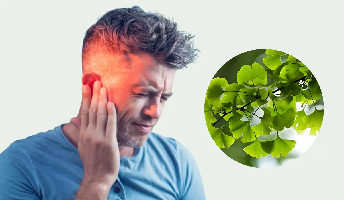 Ginkgo Biloba Benefits For Ears