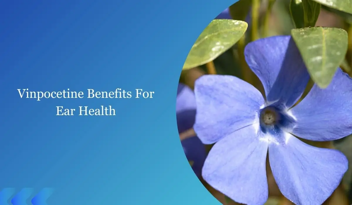 Vinpocetine Benefits